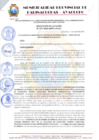 Vista preliminar de documento RESOLUCION DE ALCALDIA Nº 275