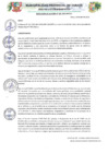 Vista preliminar de documento 133