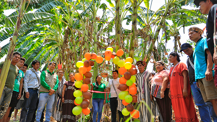 VRAEM PLATANOS