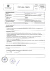Vista preliminar de documento PERFIL DE PUESTO PROCESO N°116 -2024 -MSB