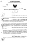 Vista preliminar de documento RDR 7859-2024