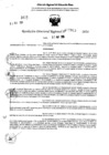 Vista preliminar de documento RDR 7863-2024