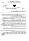 Vista preliminar de documento RDR 7866-2024