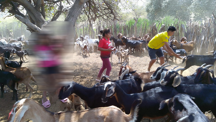 CABRAS