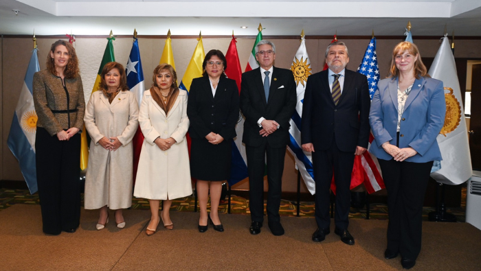 Cancillería reafirma voluntad del Perú para cooperar y combatir delitos medioambientales en reunión anual de la Red SudWEN