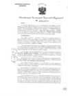 Vista preliminar de documento RGGR 489-2024