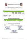Vista preliminar de documento proceso CAS04