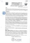 Vista preliminar de documento Resolucion233_2019