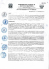 Vista preliminar de documento Resolucion239_2019