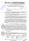 Vista preliminar de documento RES.RECT. N° 1007-2024-UNHEVAL