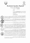 Vista preliminar de documento RER 271