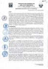 Vista preliminar de documento Resolucion262_2019