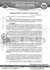 Vista preliminar de documento RGM-196-2024
