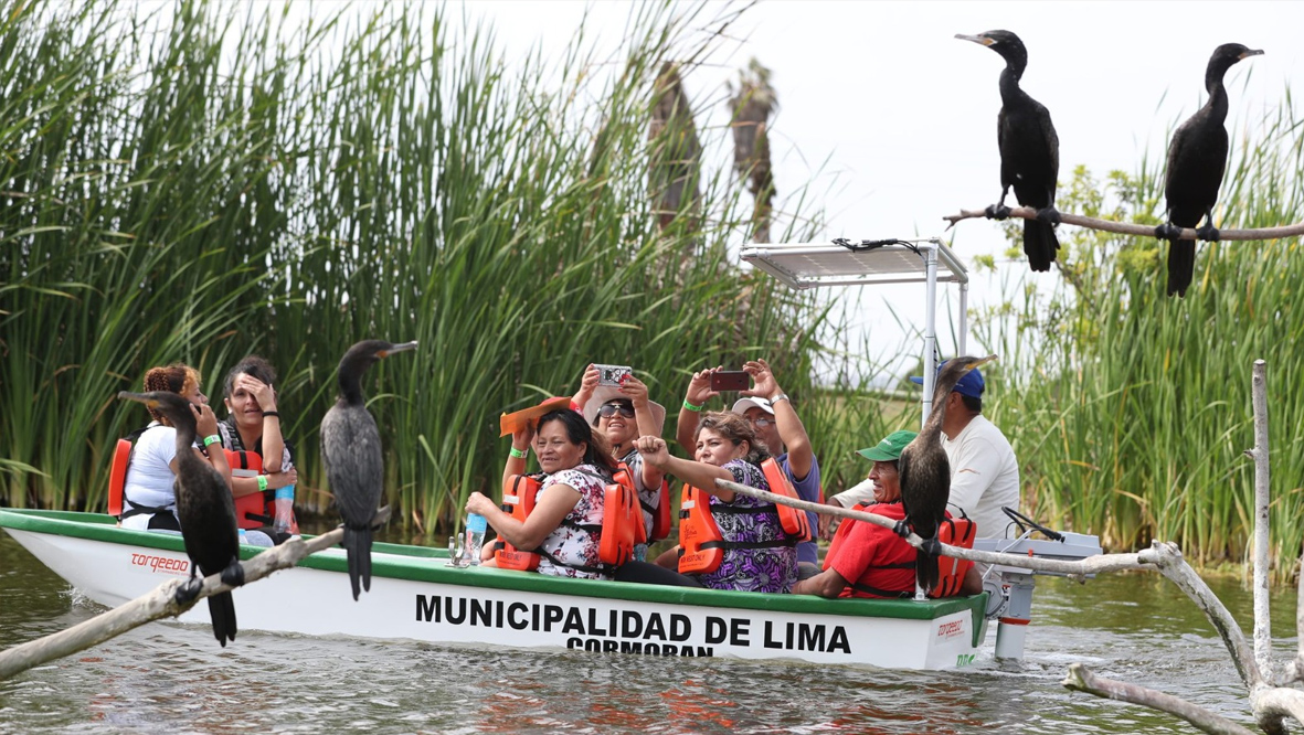 Imagen 4
