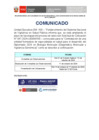 Vista preliminar de documento Comunicado SDC N° 047-2024