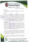 Vista preliminar de documento Ordenanza Municipal Nro008-2024-MDS