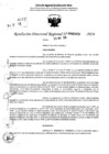 Vista preliminar de documento RDR 6869-2024