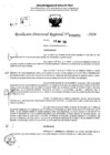 Vista preliminar de documento RDR 6870-2024