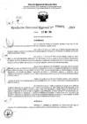 Vista preliminar de documento RDR 6871-2024