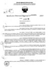 Vista preliminar de documento RDR 6872-2024