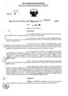 Vista preliminar de documento RDR 6873-2024