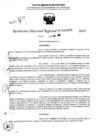 Vista preliminar de documento RDR 6876-2024