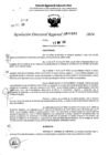 Vista preliminar de documento RDR 6880-2024