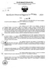 Vista preliminar de documento RDR 6883-2024