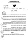Vista preliminar de documento RDR 7225-2024