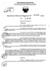 Vista preliminar de documento RDR 7228-2024