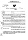 Vista preliminar de documento RDR 7231-2024