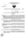 Vista preliminar de documento RDR 6889-2024