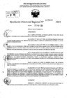 Vista preliminar de documento RDR 7233-2024