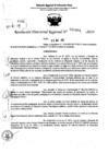 Vista preliminar de documento RDR 6891-2024
