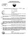 Vista preliminar de documento RDR 7240-2024