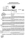 Vista preliminar de documento RDR 7243-2024