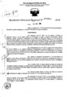 Vista preliminar de documento RDR 6895-2024
