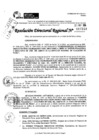 Vista preliminar de documento RDR 7249-2024