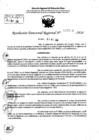 Vista preliminar de documento RDR 7251-2024