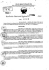 Vista preliminar de documento RDR 7252-2024