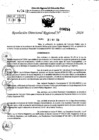 Vista preliminar de documento RDR 7254-2024