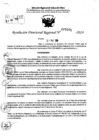 Vista preliminar de documento RDR 7261-2024