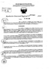 Vista preliminar de documento RDR 7267-2024