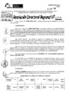 Vista preliminar de documento RDR 6908-2024