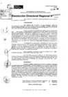 Vista preliminar de documento RDR 6909-2024