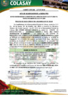 Vista preliminar de documento Acta de Buena Pro_Empresa Privada_Colasay