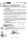 Vista preliminar de documento RDR 6917-2024