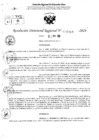 Vista preliminar de documento RDR 6918-2024