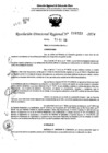 Vista preliminar de documento RDR 6923-2024