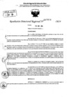 Vista preliminar de documento RDR 7054-2024